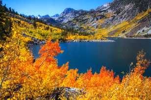 Aspens above Lake Sabrina-5600